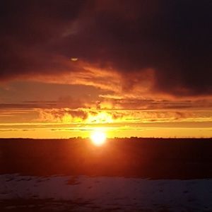 Meet your Posher, Faye